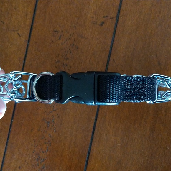 Easy on buckle Prong Training collar - Picture 2 of 4
